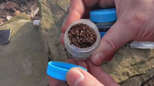 Надежные походные емкости для сыпучих продуктов из бутылочных горлышек