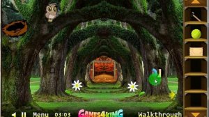 G4K Colorful Forest Escape Game Walkthrough