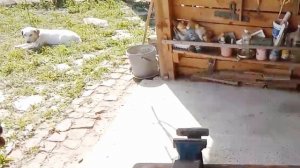 Проще не бывает, рисунок на дереве. Как сделать декоративную картину на доске или спиле дерева.