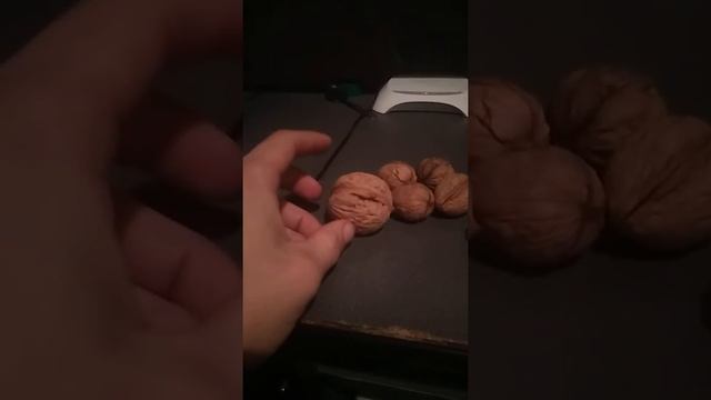 Сколько я заработал на грецких орехах смотреть онлайн