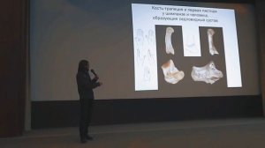 Вершина эволюции. Станислав Дробышевский