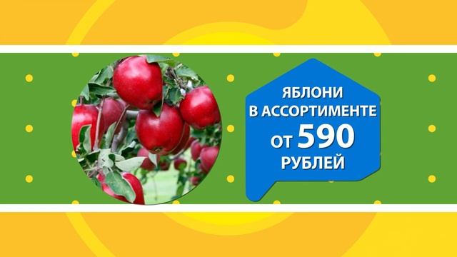 Садовый центр Стройландия смотреть онлайн