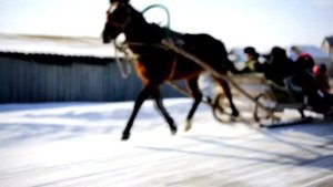 Мурат Тхагалегов   Едем едем в соседнее село на дискотеку  в Гусевку клип