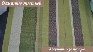 Ферментация листьев ИНЖИРА для чая - все этапы от А до Я