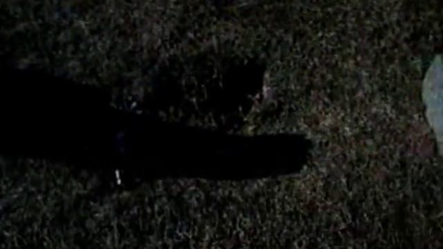 Ed Gein's Property and Plainfield Cemetery смотреть онлайн