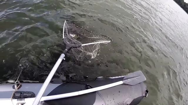 Эта Приманка ЛОВИТ ВСЕГДА!!! Каждый ДОЛЖЕН ИМЕТЬ этот Тейл Спиннер Hurricane ! смотреть онлайн