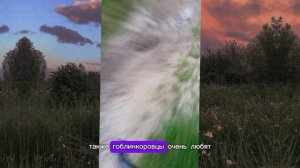 гид по эстетике goblincore