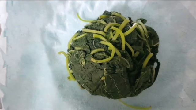 Салат из листьев кунжута(перилла)(깨잎 반찬 ).