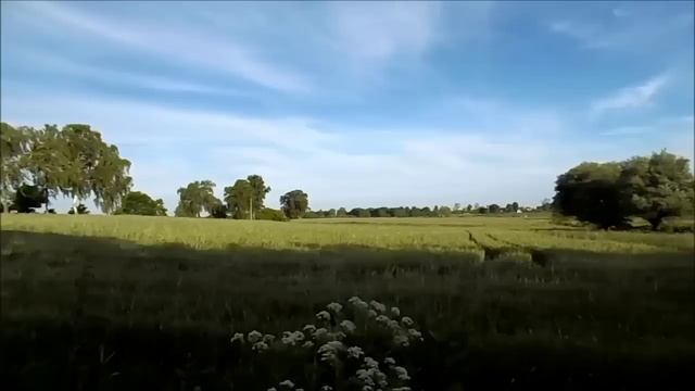 Nikon Coolpix L340 Digital Camera Review Photos and Video смотреть онлайн