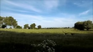 Nikon Coolpix L340 Digital Camera Review Photos and Video