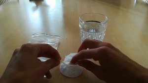 Как выращивать дионею(венерину мухоловку) из семян