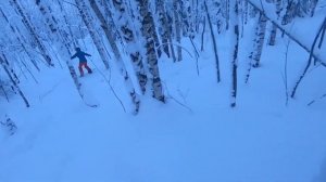 Губаха 2023 | Фрирайд в Губахе | Цены в Губахе на жильё и еду в горнолыжный сезон!