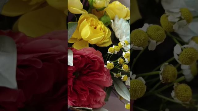 1 СЕНТЯБРЯ С ДНЁМ ЗНАНИЙ #shorts #flowers #school #children #1сентября #сднемзнаний