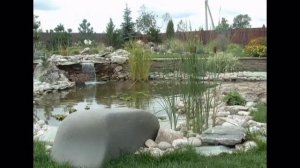 #водоём #водоёмвсаду #водоёмсвоимируками Водоем в ландшафте. Greenpinus.