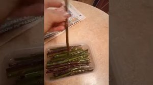 Укоренение черенков роз методом бурито