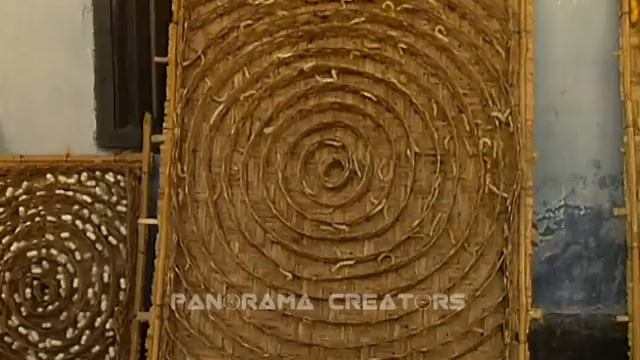 কিভাবে রেশম পোকা থেকে রেশম সুতা তৈরি হয় । How to Produce Silk Yarn from Silkworm смотреть онлайн