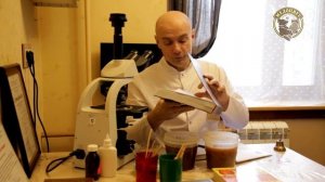 Пыльцевой анализ Мёда из Республики Татарстан