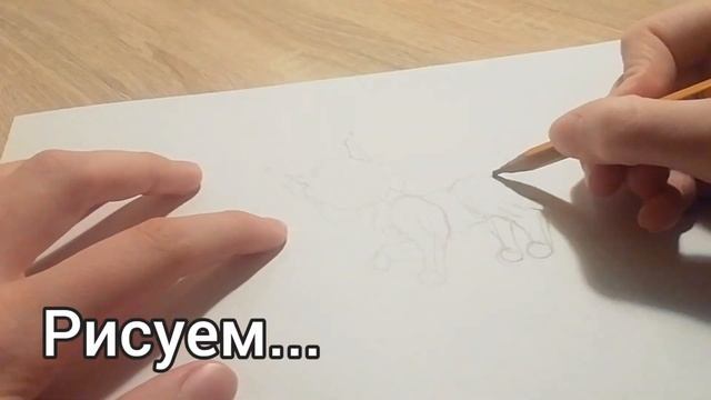 Нарисовали красивую кошечку! Гоша и хозяйка рисовалки 1 часть! ??