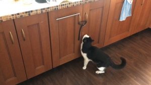 Мася дверцы рукой открывает