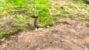 Иногда , решить проблему затопления цокольного этажа можно не применяя глубинный дренаж.