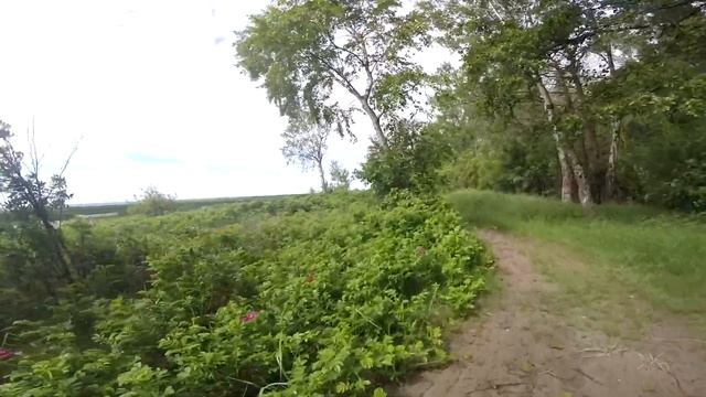 В поход по окрестностям Петербурга: заказник Ближние Дубки