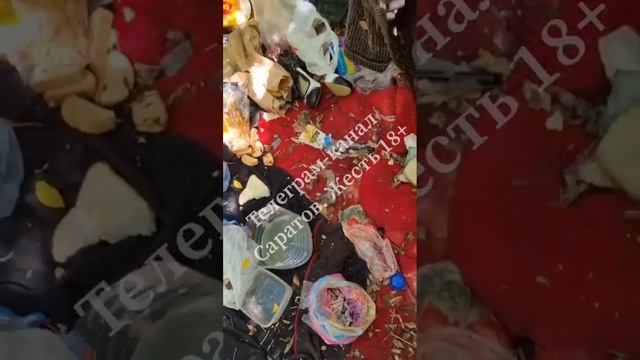 В Саратове у ТЦ «Тау Галерея» мужчина поселился в кустах с кучами мусора смотреть онлайн