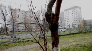 Визитная карточка для учителя ОБЖ