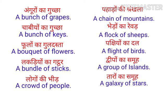 Important Collective Phrases| समूहार्थक शब्द| English Lover | One Week English Study Students смотреть онлайн