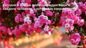 День 19. Марафон Изобилия. 21 день Изобилия. Дипак Чопра.