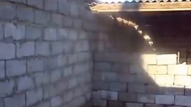 Гараж с кухней смотреть онлайн