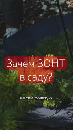 МАЛОИЗВЕСТНЫЙ прием для ухода за садом