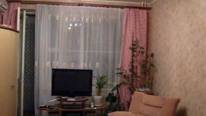 Кошки против летучей мыши