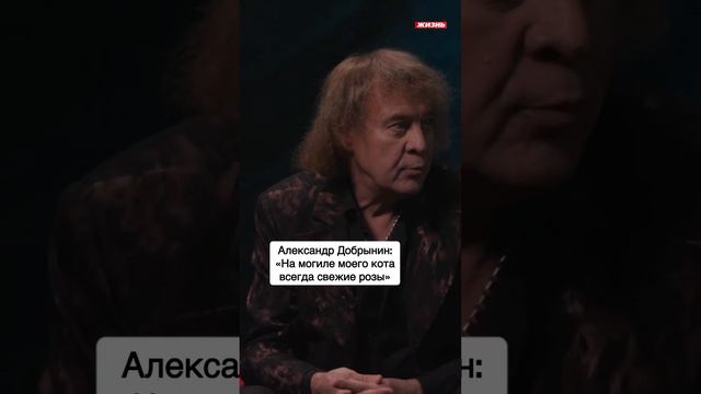 Александр Добрынин: «На могиле моего кота всегда свежие розы»