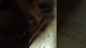 Замена нижнего тэна на духовом шкафу занусси.