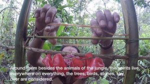 Mentawai tribe, Man flowers, Shaman, Animism -  The Forest keepers - Indonesia