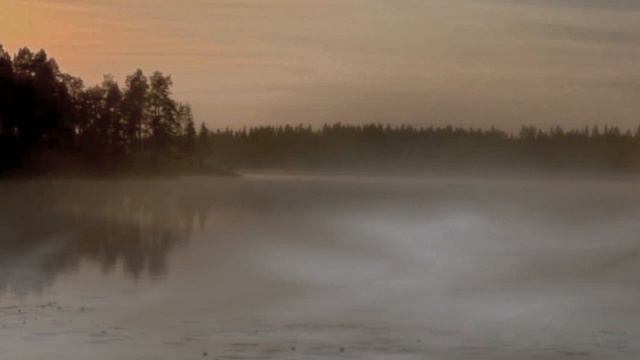 The Foggy Dew (Irish Ballad) смотреть онлайн