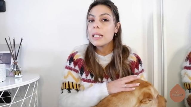 SHARPEI - 7 principais características + dicas | Youana смотреть онлайн