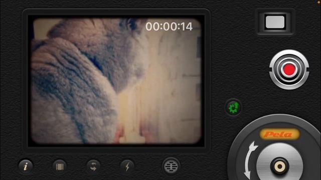 8mm app | Vintage Camera | ОБЗОР