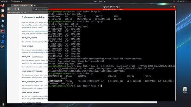 Installing a MySQL Docker Container смотреть онлайн