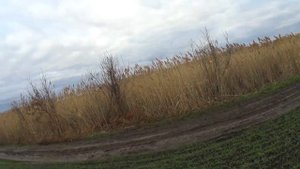 Краснодарский край охота на шакала.смотреть было круто.