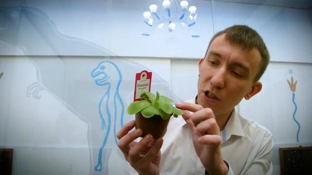 #Антикафе#anticafe Секреты хищных растений с коллекционером-специалистом Сергеем Куницыным ! АННОНС