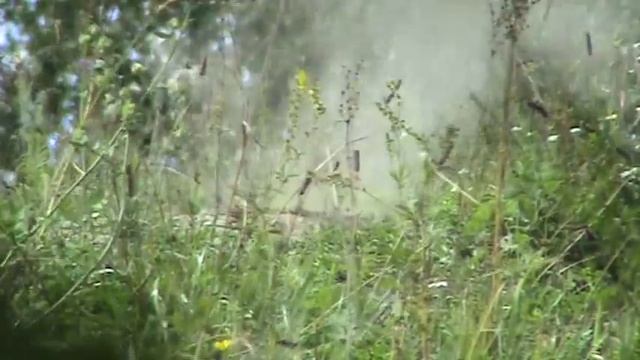 Охота на сурков. Подборка выстрелов. смотреть онлайн