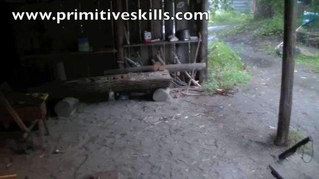 Wild Foraging Edible and Medicinal Plants- Evening Primrose смотреть онлайн