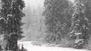 Dean Martin - Let it Snow (1 hour)