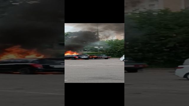 1000008925.mp4 смотреть онлайн