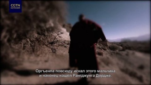 Система реинкарнации Живых Будд для тибетского буддизма