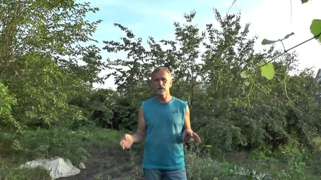 Мое портфолио. 100% ТРУДОУСТРОЙСТВА, Видео портфолио. Помощник по хозяйству. смотреть онлайн