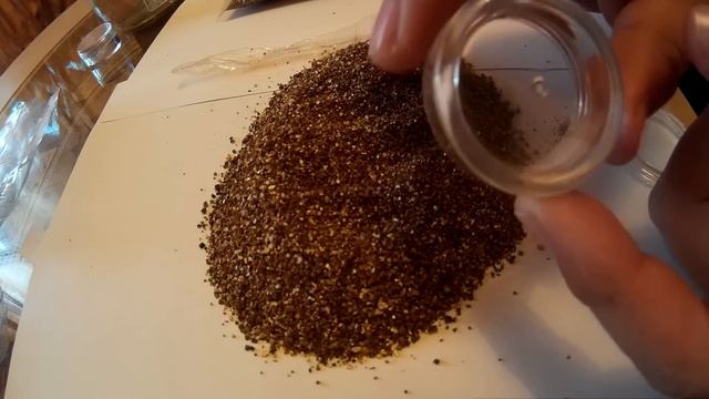 Сажаем семена эхеверий и кактусов с АлиЭкспресс смотреть онлайн