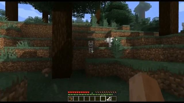 How to tame WOLF as PET DOG in Minecraft (Pocket Edition, Java, Bedrock) смотреть онлайн