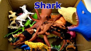 Learn Wild Zoo Animals and Sea Animals names For Kids - Learning For Children